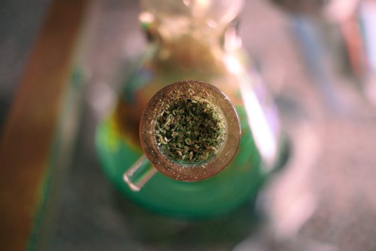 Weed in Prague: Local Gems for a Smoke